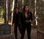 TVD_1223.jpg