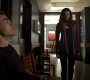 TVD_1117.jpg