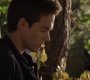 TVD_1257.jpg