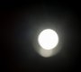 Filename=TVD_0004.jpg
Filesize=21KiB
Dimensions=1280x718
Date added=Jan 23, 2015 TVD_0004.jpg