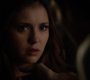 TVD_1119.jpg