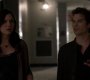 TVD_1135.jpg