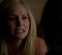 Filename=TVD_1843.jpg
Filesize=38KiB
Dimensions=1280x718
Date added=Jan 30, 2015 TVD_1843.jpg