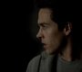 TVD_1266.jpg