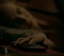 TVD_0005.jpg