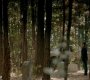 Filename=TVD_0571.jpg
Filesize=158KiB
Dimensions=1280x718
Date added=Jan 31, 2017 TVD_0571.jpg