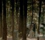 Filename=TVD_0572.jpg
Filesize=149KiB
Dimensions=1280x718
Date added=Jan 31, 2017 TVD_0572.jpg