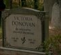 Filename=TVD_0576.jpg
Filesize=97KiB
Dimensions=1280x718
Date added=Jan 31, 2017 TVD_0576.jpg