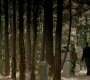 Filename=TVD_0583.jpg
Filesize=157KiB
Dimensions=1280x718
Date added=Jan 31, 2017 TVD_0583.jpg