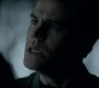 TVD_1433.jpg