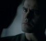 TVD_1461.jpg
