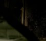 Filename=TVD_1711.jpg
Filesize=37KiB
Dimensions=1280x718
Date added=Feb 02, 2017 TVD_1711.jpg