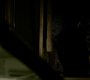 Filename=TVD_1712.jpg
Filesize=34KiB
Dimensions=1280x718
Date added=Feb 02, 2017 TVD_1712.jpg