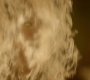 Filename=TVD_1860.jpg
Filesize=42KiB
Dimensions=1280x718
Date added=Feb 02, 2017 TVD_1860.jpg