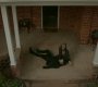 Filename=TVD_1902.jpg
Filesize=69KiB
Dimensions=1280x718
Date added=Feb 09, 2017 TVD_1902.jpg